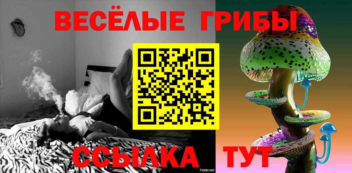 где купить наркоту  Галлюциногенные грибы Psilocybe  Вход с VPN  Пермь 