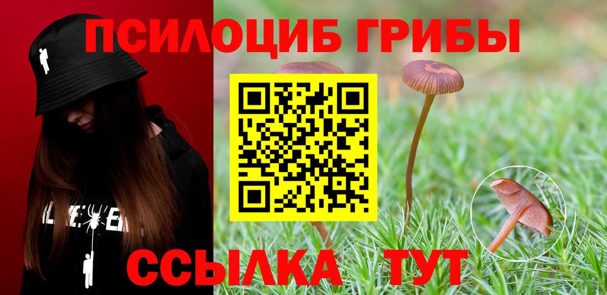 Галлюциногенные грибы Magic Shrooms Пермь